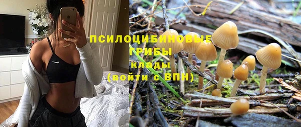 гидропоника Карпинск