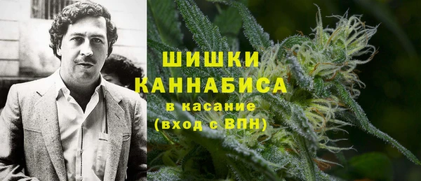 дурь Каменка