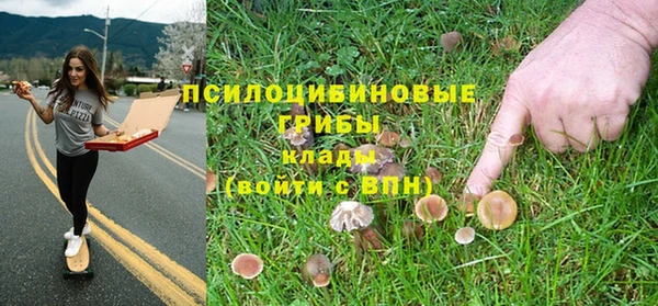 гидропоника Карпинск