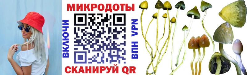где купить наркоту Кушва Галлюциногенные грибы ЛСД