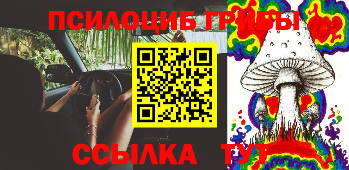 Псилоцибиновые грибы мицелий  Псилоцибиновые грибы GOLDEN TEACHER  Вход с VPN  Кушва 